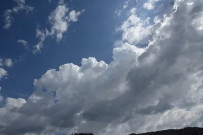 DSC_2969 (Large).JPG